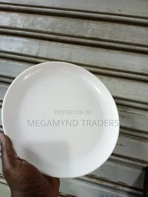 Melamine Plates/Restaurant Plates/12pc White Plate
