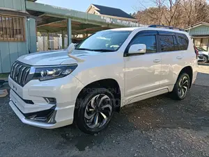 Toyota Land Cruiser Prado 2018 Pearl