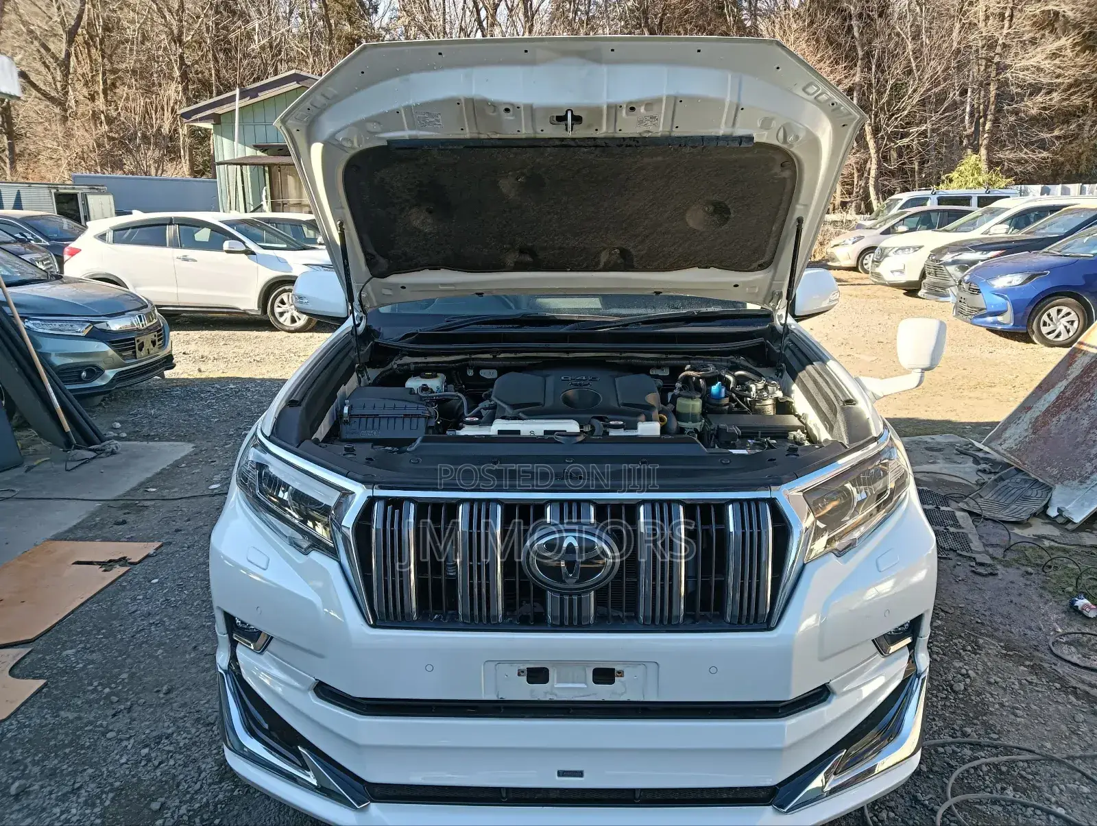 Toyota Land Cruiser Prado 2018 Pearl
