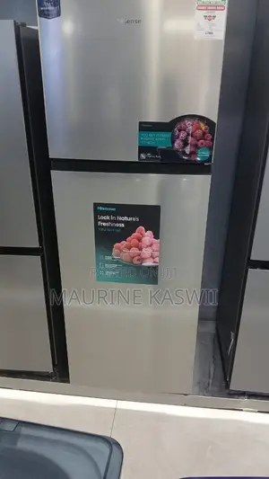 Hisense 320 L No Frost Double Door Ref320dr(10 Yr Warranty)