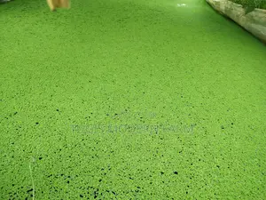 Buy Best Azolla Seeds In Kenya -get Free Pdf Guide -2000 Ml
