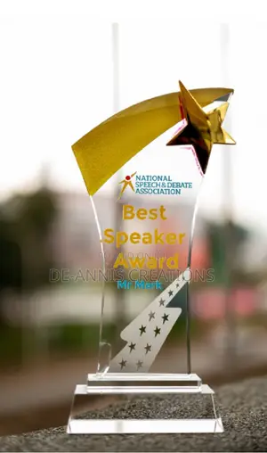 High Star Award 24 X 8cm