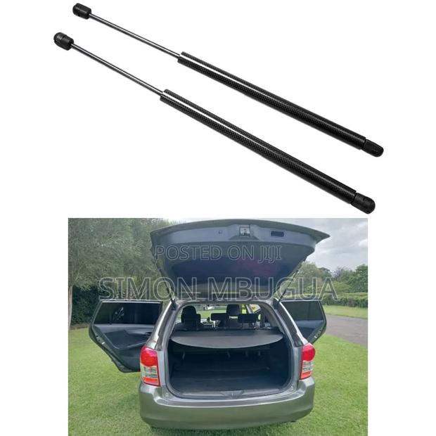 Toyota Fielder Boot Shocks/Struts