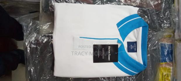 Imported Polos - thumbnail 4