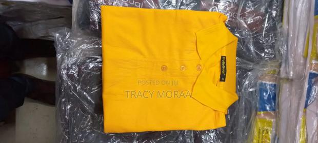 Imported Polos - thumbnail 5