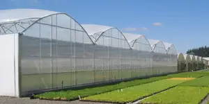 Greenhouse Installation Service