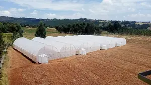 Greenhouse Construction Services