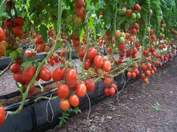 Greenhouse Construction Services - thumbnail 3