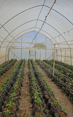 Greenhouse Structure Installation