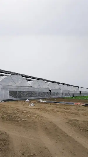 Greenhouse Construction Services