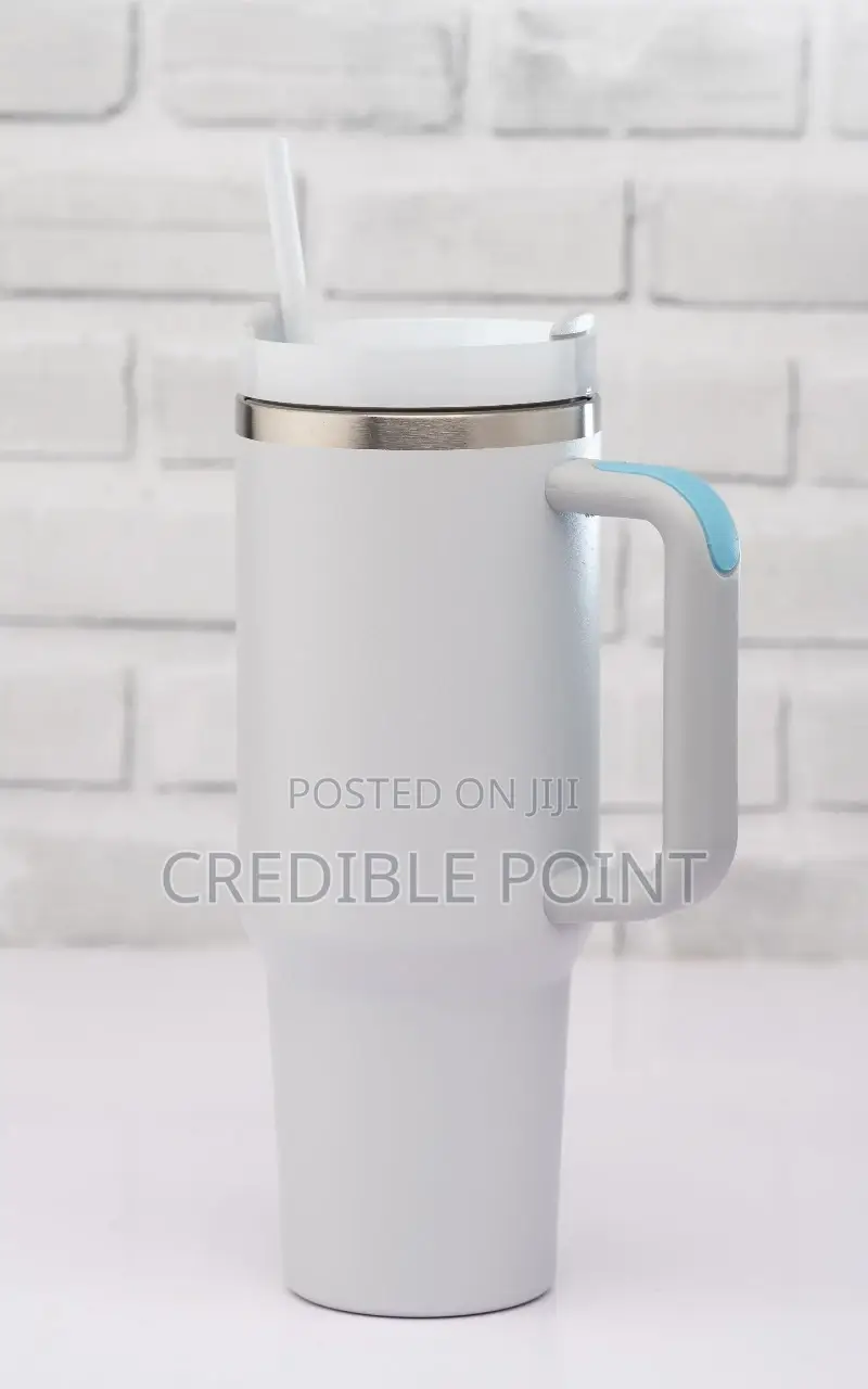 Stanley Mugs