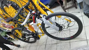 Especial Bicycle/Adult Bike Size 29