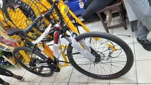 Especial Bicycle/Adult Bike Size 29