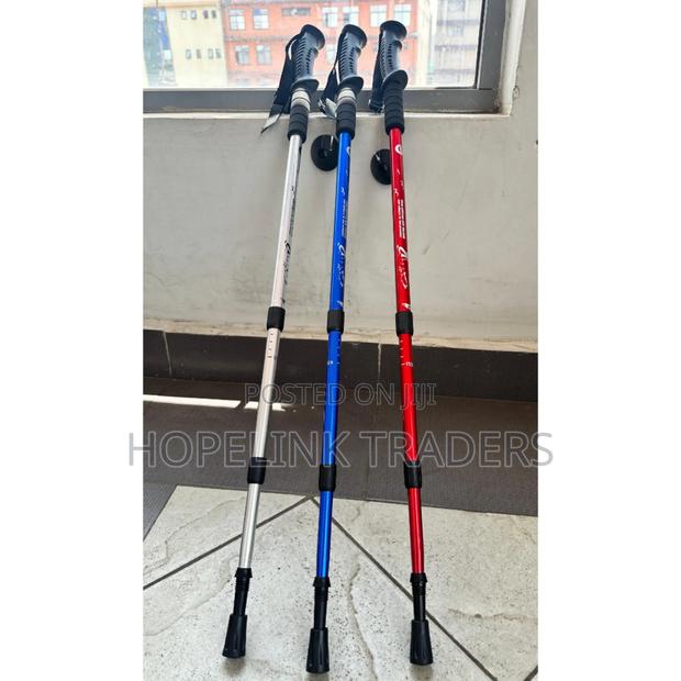 Hiking Pole, Adjustable Heights - main view