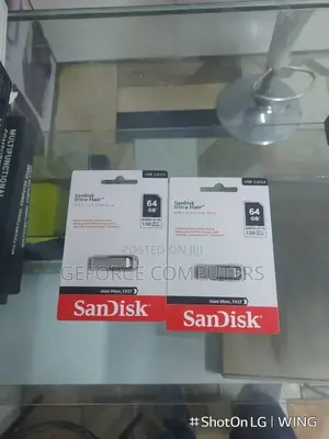 Sandisk Flash
