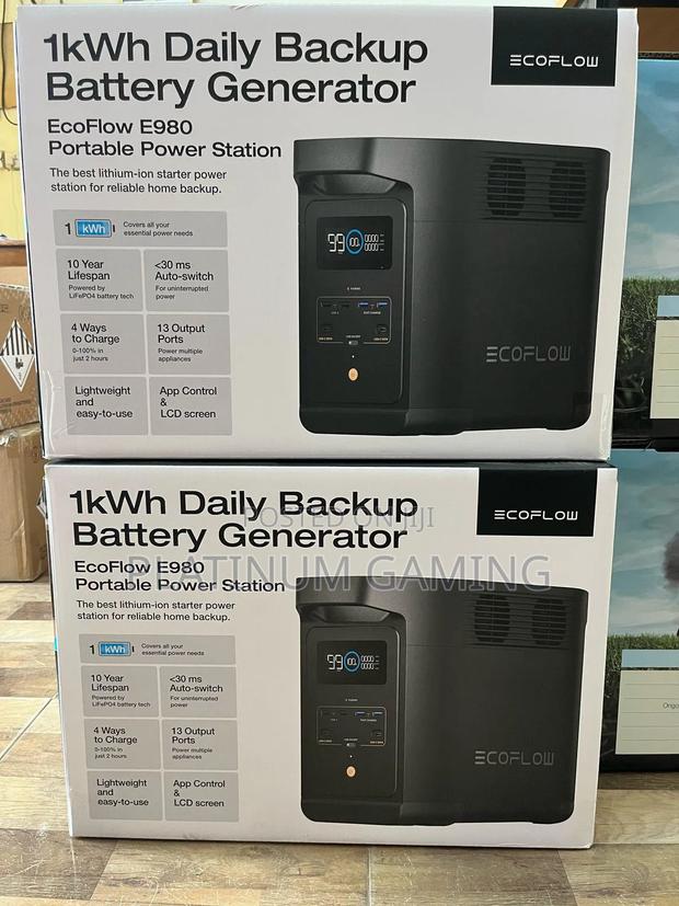 Ecoflow Daily Backup Battery Generator - main view