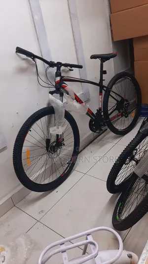 Sport Bike Size 29" With Gear