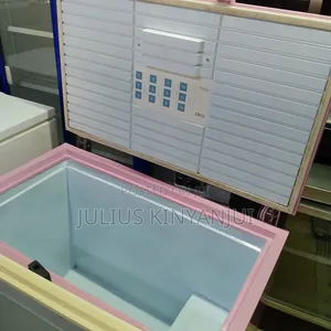 300liters Closed Top Chest Freezer