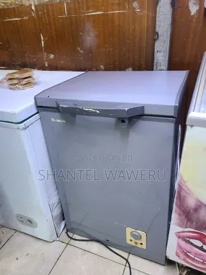 Exuk Deep Freezer 100litres Silver