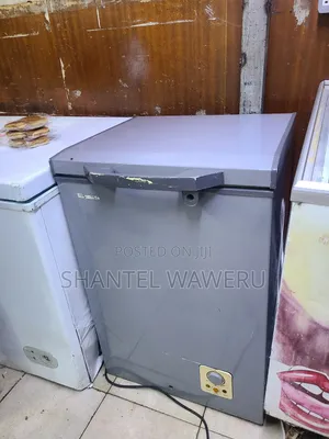 Exuk Deep Freezer 100litres Silver