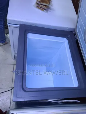 Exuk Deep Freezer 100litres Silver