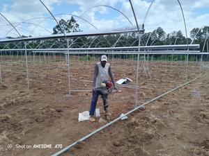Greenhouse Structure Installation - main view