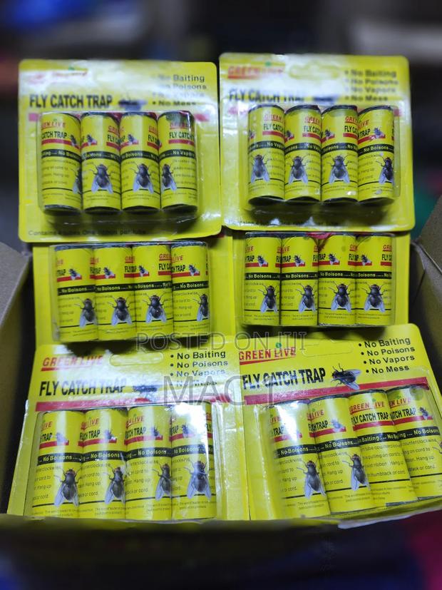 Fly Catcher With Glue Strips - thumbnail 2