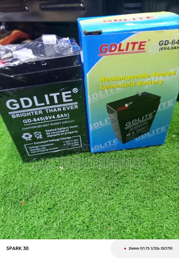 Rechargeable Battery/Digital Weighing Scale Battery - main view