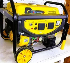 Lenhard Golf Fpg4501e Petrol Generator 5.5kva