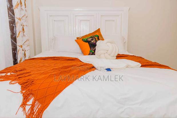 2 Bedroom Air BNB (Master Ensuite) in Nanyuki- To Let - thumbnail 8