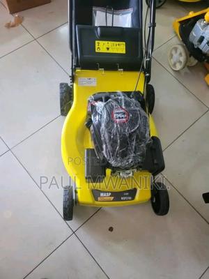 Wasp 196cc 4 Stroke Lawn Mower - main view