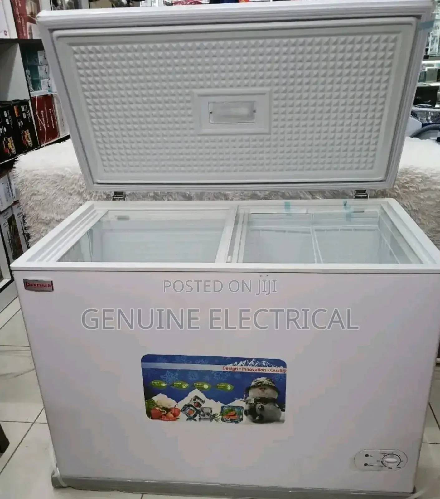 Highly Efficient Premier Chest Freezer