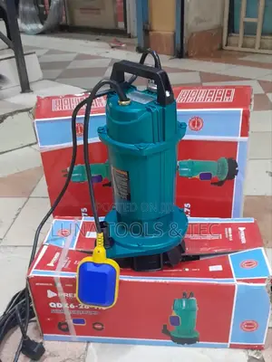 Premier 1hp With Float Switch 32m Head Water Pump