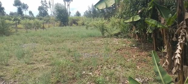 50 by 100 Plots in Kanunga Shopping Center Kiambu County - thumbnail 3