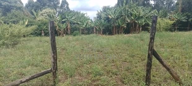 50 by 100 Plots in Kanunga Shopping Center Kiambu County - thumbnail 6