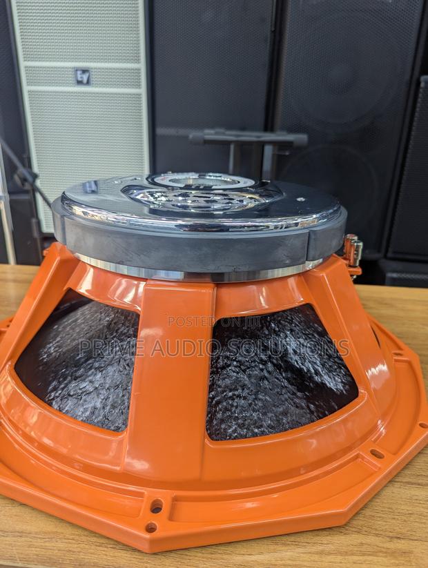 Derwel Pd1852 Naked Speaker Driver - main view