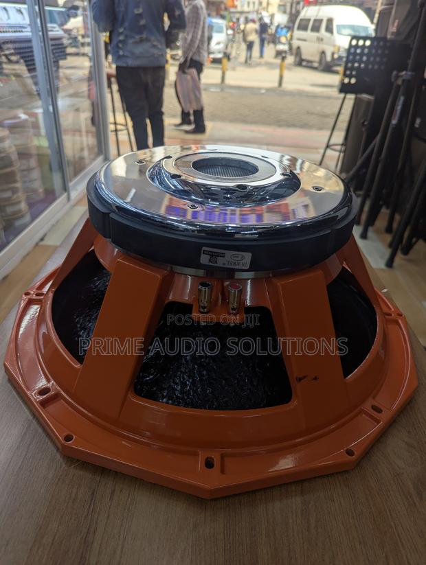 Derwel Pd1852 Naked Speaker Driver - thumbnail 5