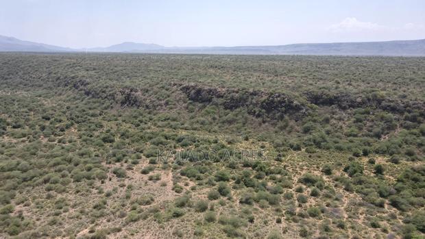 50 Acres on Cliff in Tinga at Per Acre - thumbnail 2