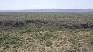 50 Acres on Cliff in Tinga at Per Acre