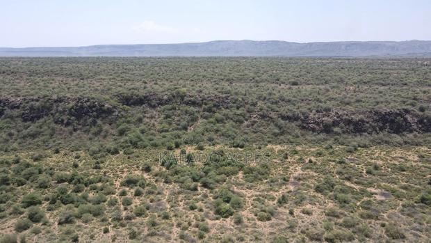 50 Acres on Cliff in Tinga at Per Acre - thumbnail 3