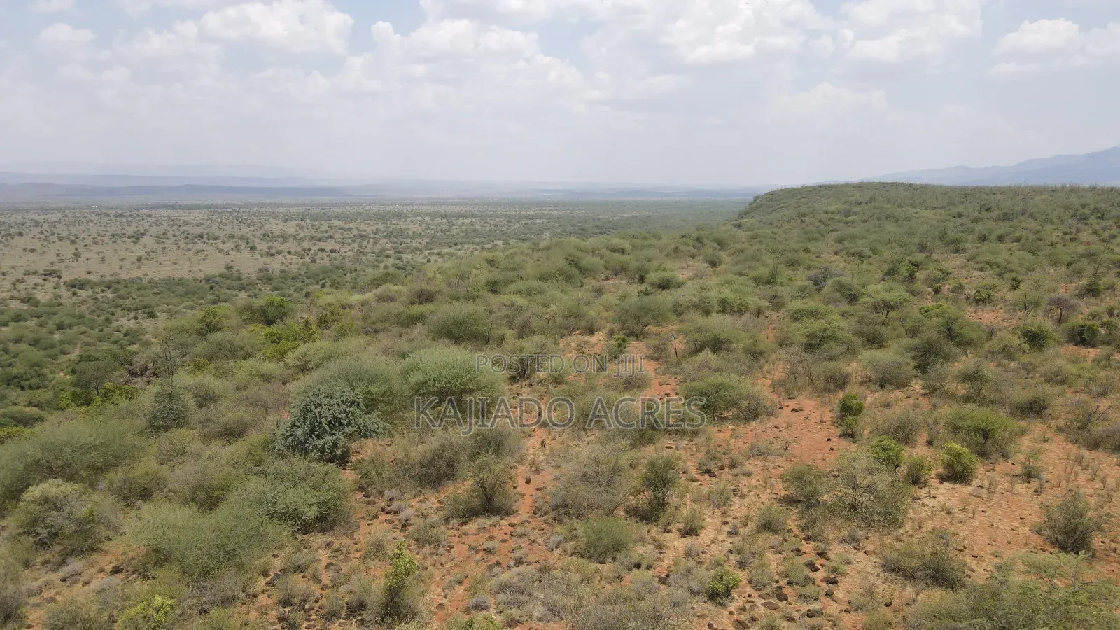 50 Acres on Cliff in Tinga at Per Acre