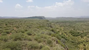 50 Acres on Cliff in Tinga at Per Acre