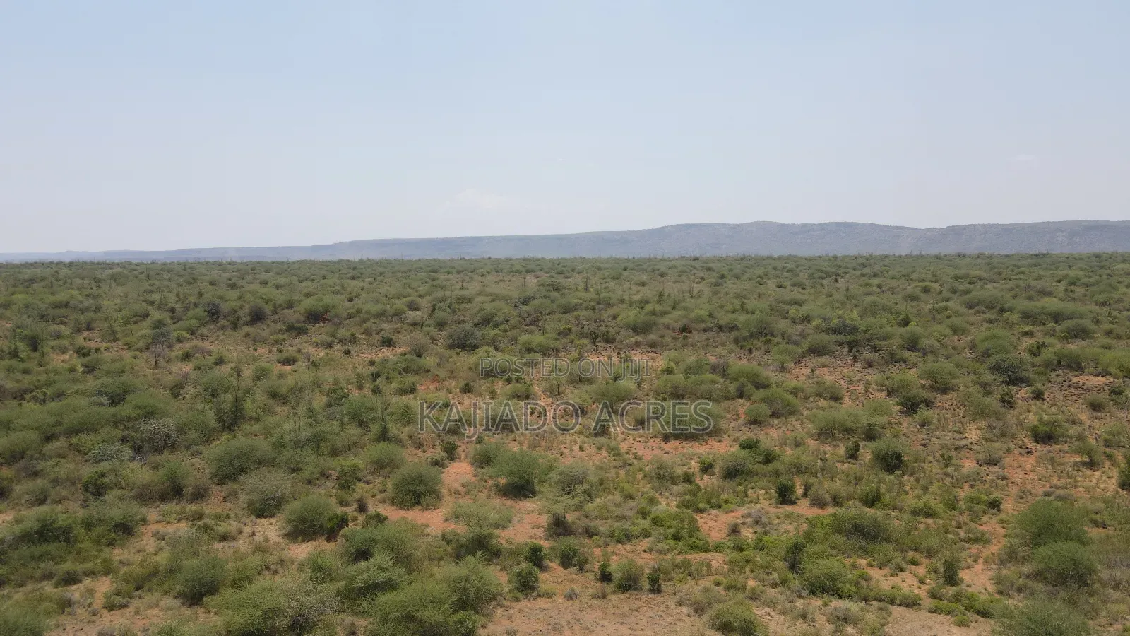 50 Acres on Cliff in Tinga at Per Acre