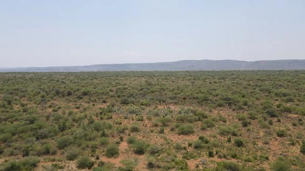 50 Acres on Cliff in Tinga at Per Acre - thumbnail 7