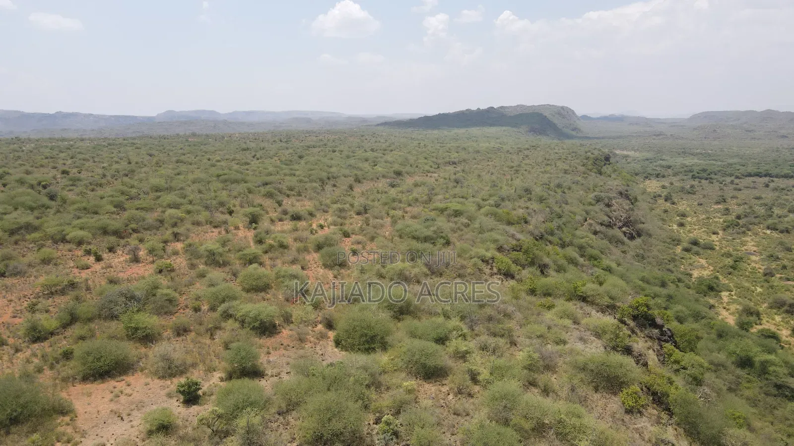 50 Acres on Cliff in Tinga at Per Acre