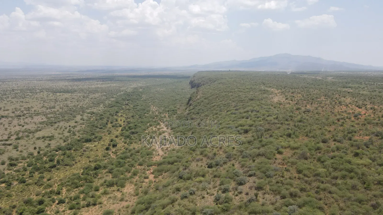 50 Acres on Cliff in Tinga at Per Acre