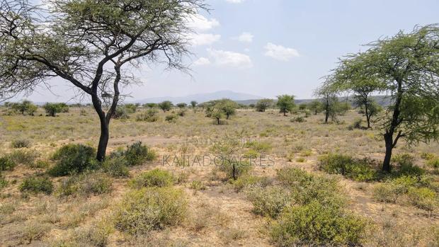 Prime 5 Acres Tinga at Per Acre - main view