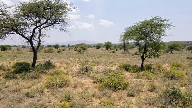 Prime 5 Acres Tinga at Per Acre - thumbnail 2