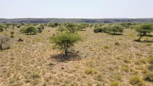 Prime 5 Acres Tinga at Per Acre
