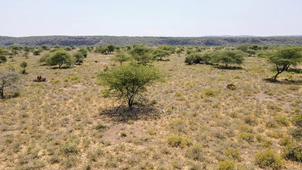 Prime 5 Acres Tinga at Per Acre - thumbnail 3
